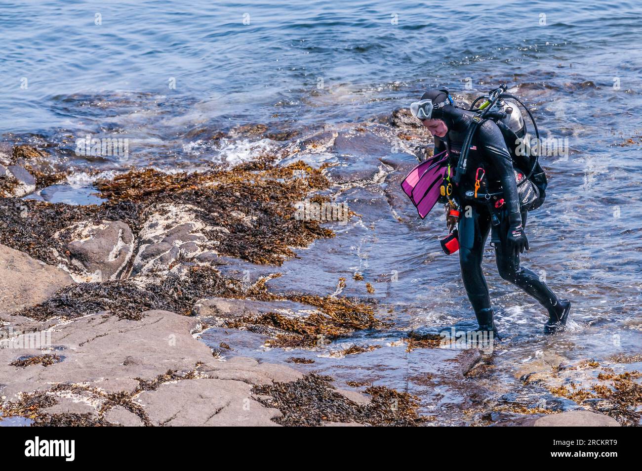 Scuba diver walks out of the ocean completely exhausted after swimming against the ocean current between tides. Some currents can be very strong. Stock Photo