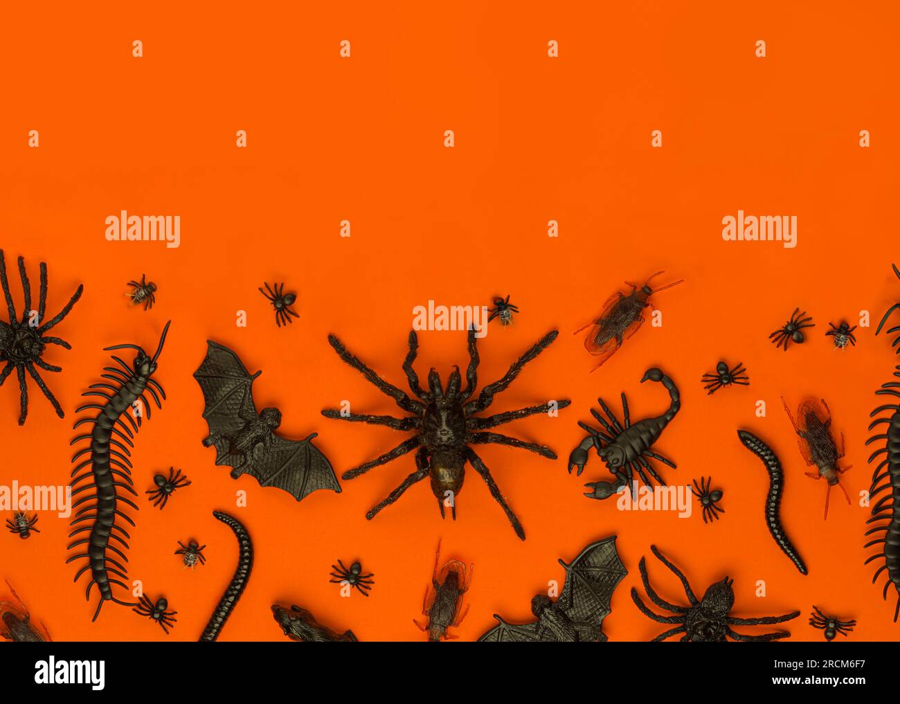 Black Halloween creepy crawly bugs and spiders on orange background with blank space for text Stock Photo