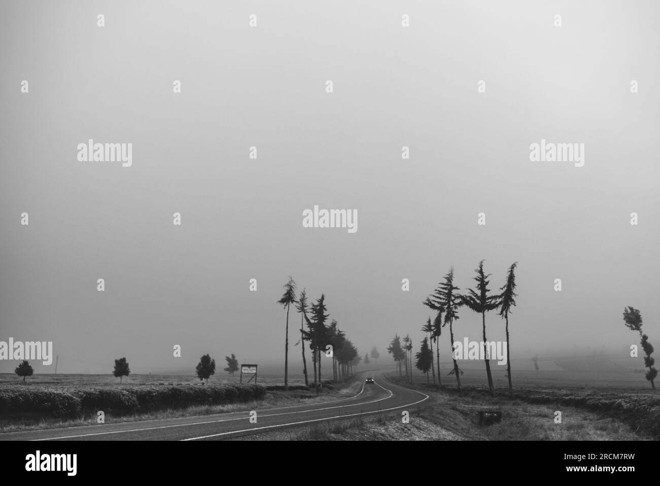 Kiambu-Limuru Road Highway, Tea Plantations Stock Photo - Alamy