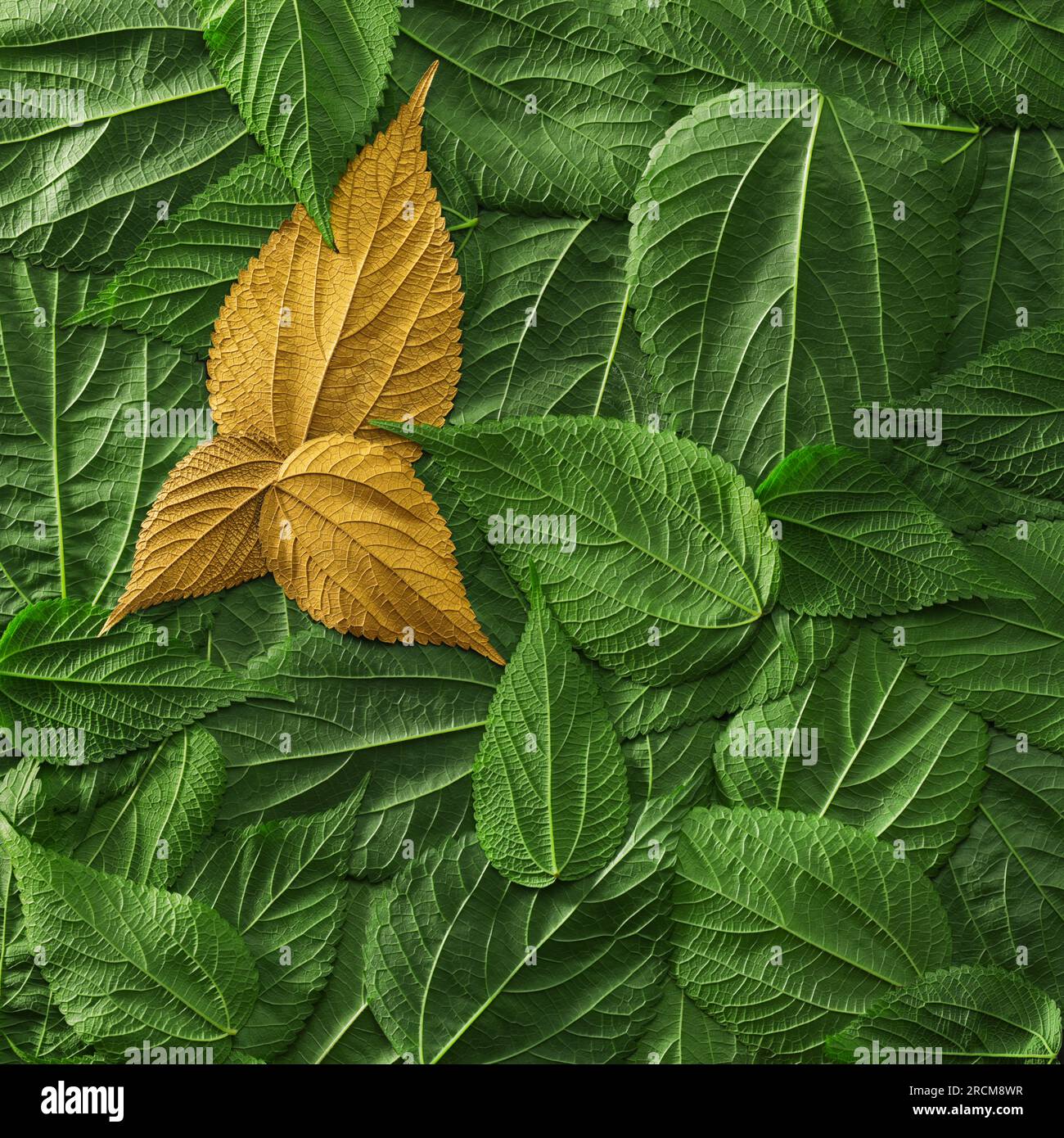 Vibrant green foliage with gold leaves. Concept for success at