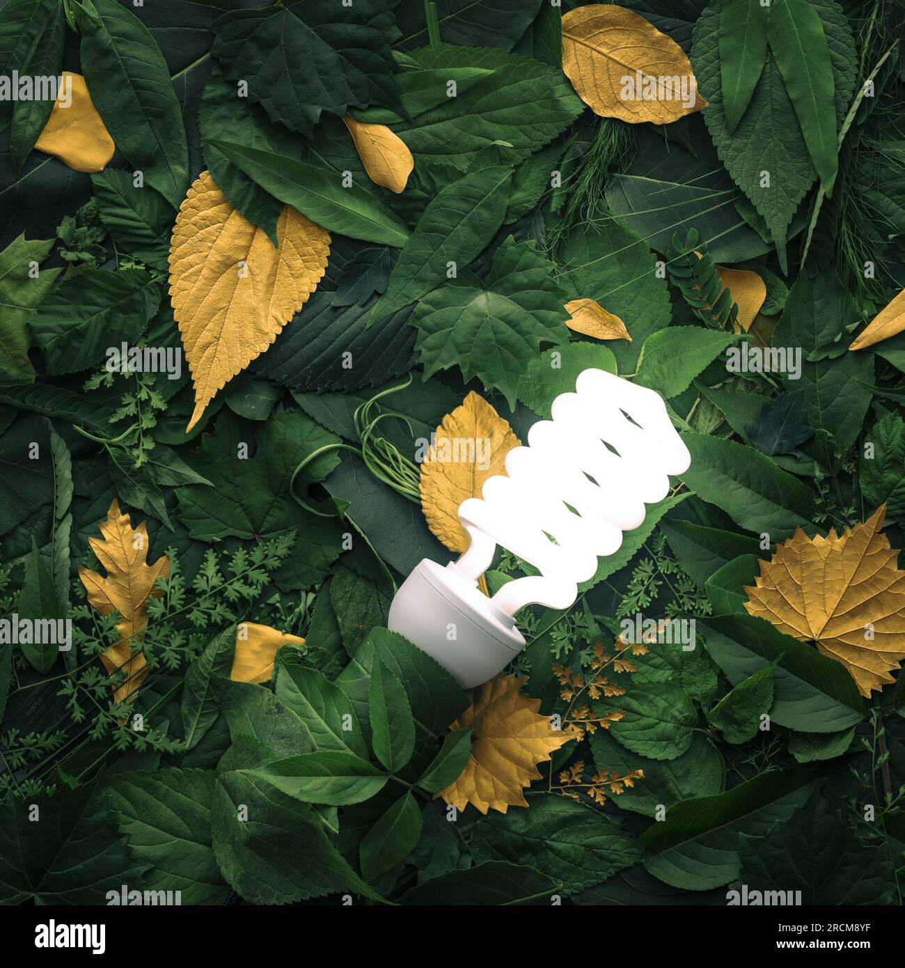 Vibrant green foliage with gold leaves lit by energy efficient lightbulb. Concept of environmentally friendly ideas, energy efficiency, or eco friendl Stock Photo