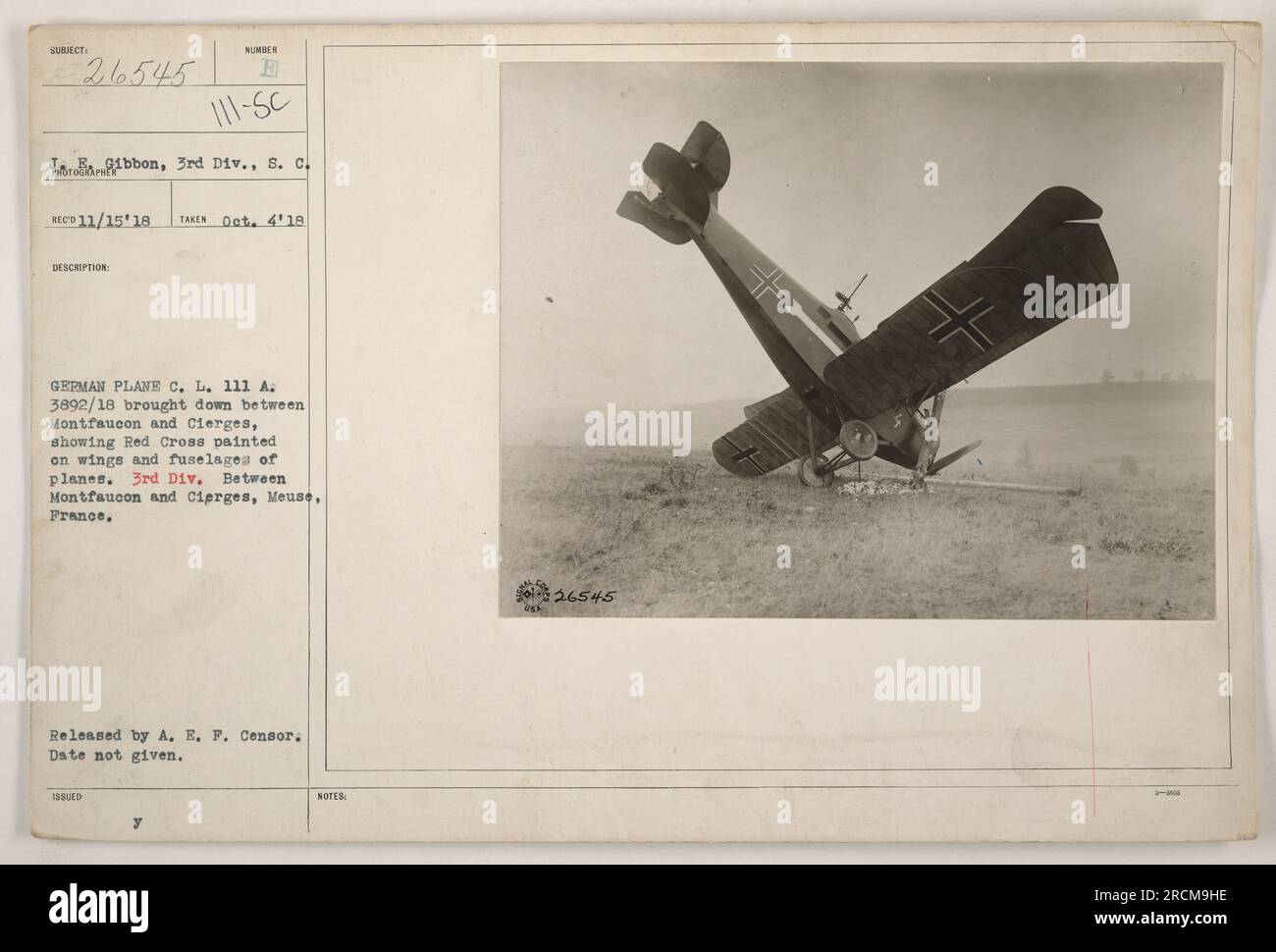 Caption: 'Photograph depicting a German plane brought down between Montfaucon and Cierges, showing a Red Cross painted on the wings and fuselages. Taken on October 4, 1918, by the 3rd Division of the American Expeditionary Forces (A.E.F) in Meuse, France. Released by A.E.F. Censor.' Stock Photo