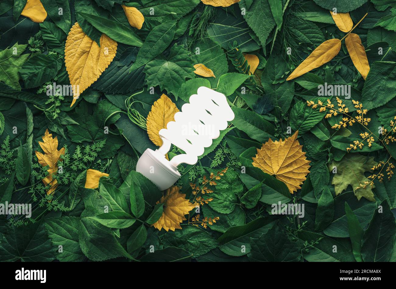 Vibrant green foliage with gold leaves lit by energy efficient lightbulb. Concept of environmentally friendly ideas, energy efficiency, or eco friendl Stock Photo