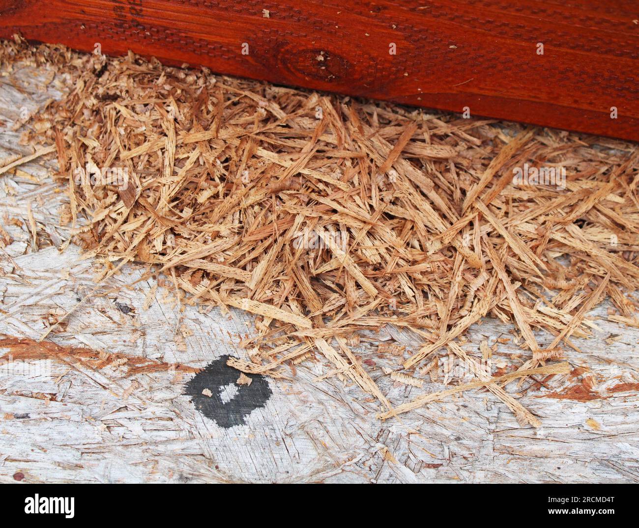 A Pile Of Planed Wood Shavings Stock Photo Alamy a-pile-of-planed-wood-shavings-stock-photo-alamy