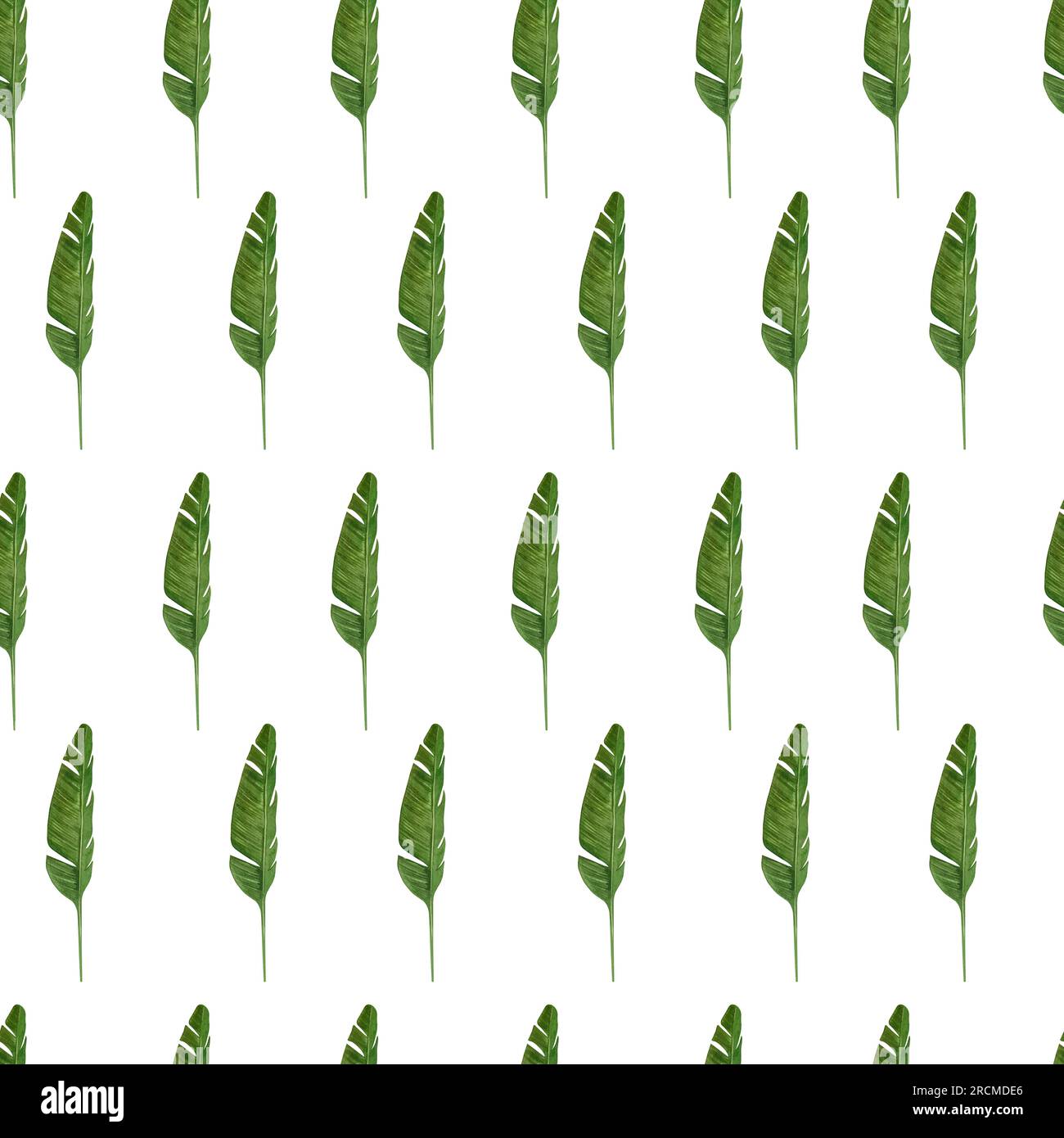 Seamless pattern on a white background. Tropical leaves in green color hand drawn in watercolor on a white background. Suitable for printing on fabric Stock Photo