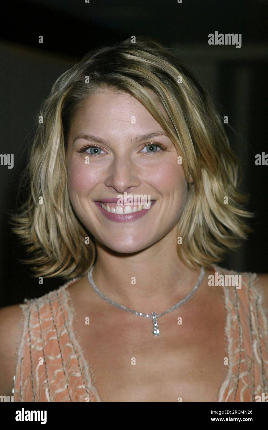 Ali Larter attends the "Sugar & Spice Naughty & Nice" fund raiser for