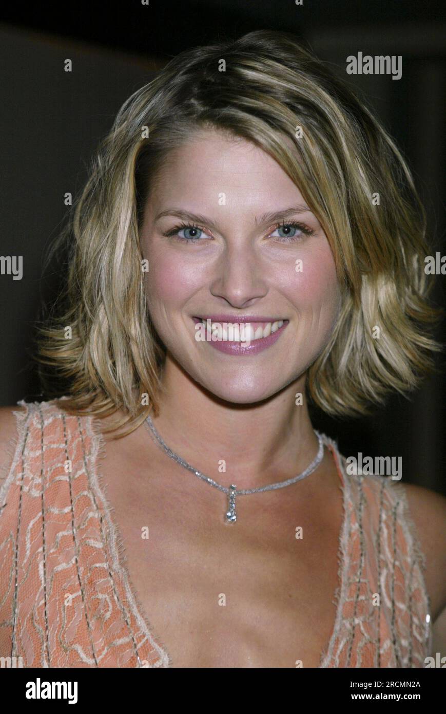 Ali Larter attends the "Sugar & Spice Naughty & Nice" fund raiser for