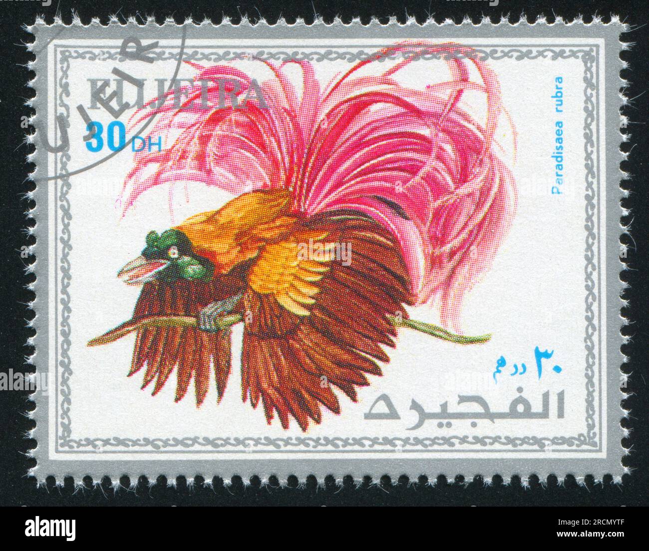 FUJEIRA - CIRCA 1972: stamp printed by Fujeira, shows tropical bird
