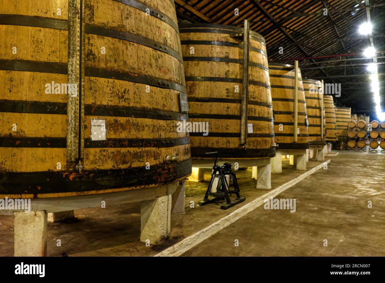 Real Companhia Velha, casks of port wine in production. Porto, Portugal Stock Photo