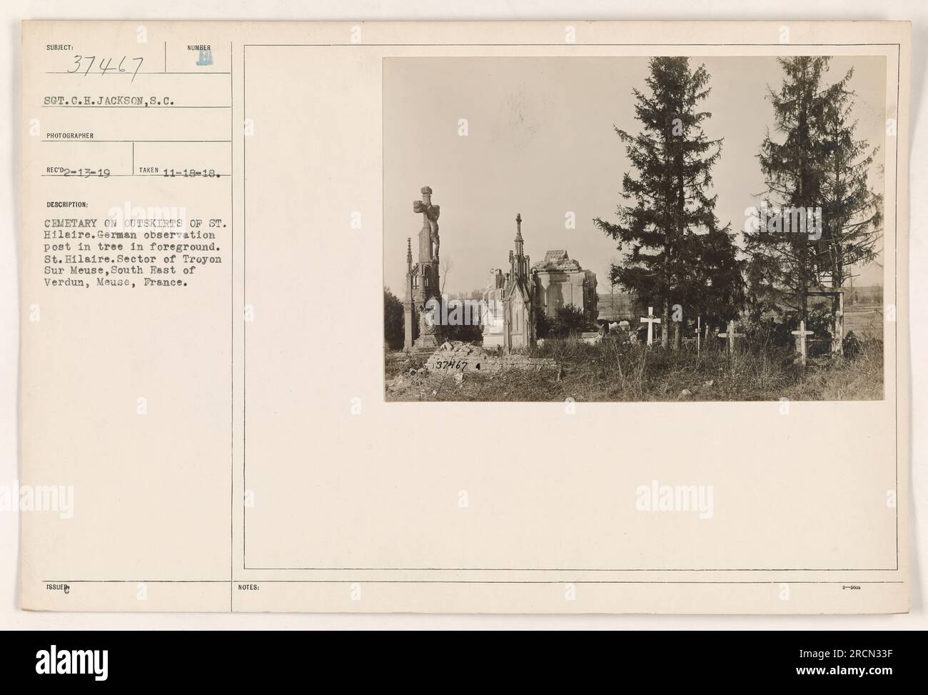 'Cemetery on the outskirts of St. Hilaire, showing a German observation post in a tree in the foreground. This image was taken in the sector of Troy on Sur Meuse, south east of Verdun, Meuse, France. Photographed by S.C. Jackson. (137467)' Stock Photo