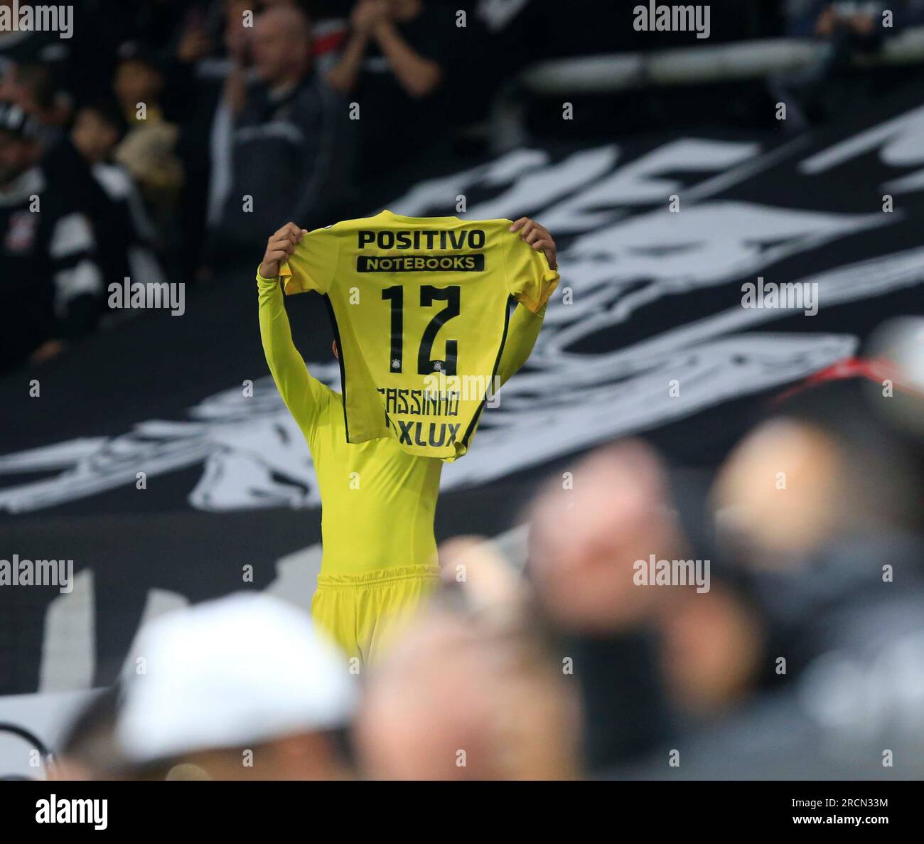 Sao Paulo, Brazil. 15th July, 2023. Fan during a match between Corinthians and America Mg at Neo Quimica Arena in Sao Paulo, Brazil (Fernando Roberto/SPP) Credit: SPP Sport Press Photo. /Alamy Live News Stock Photo