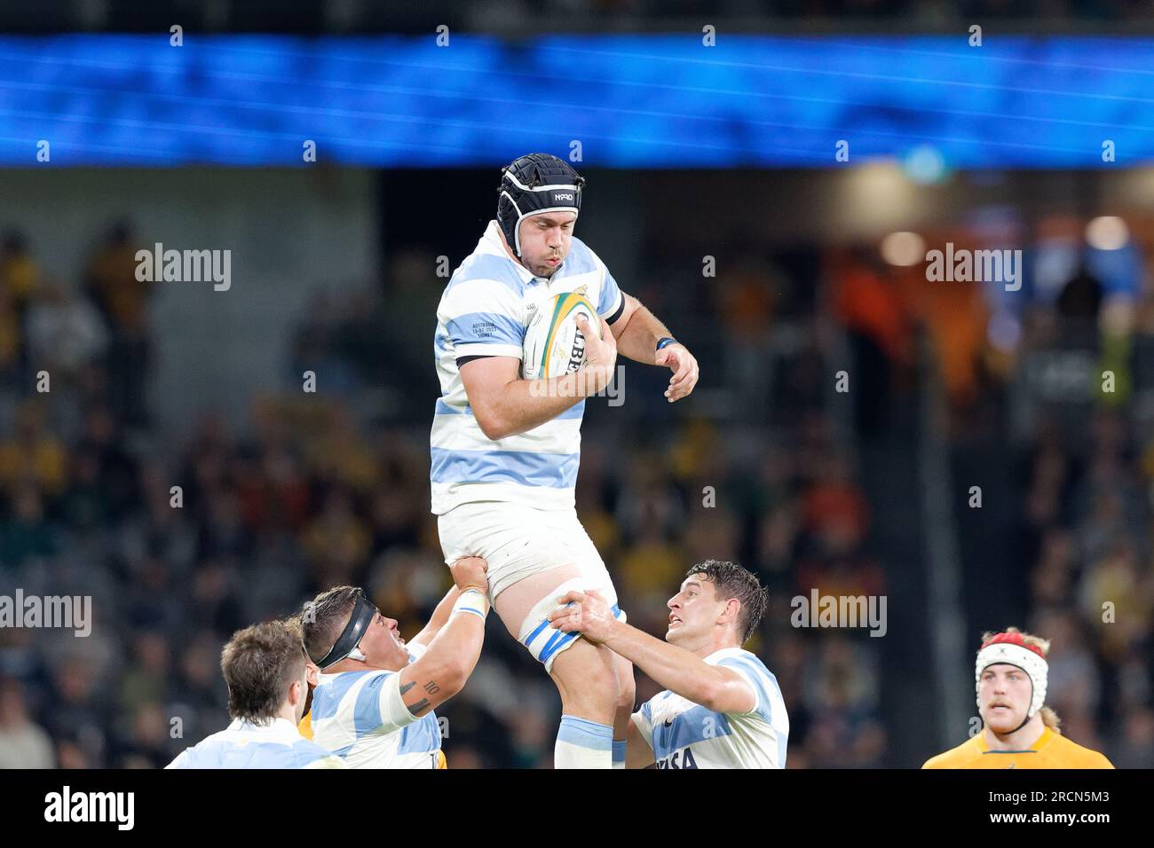Sydney, Australia. 15th July, 2023. Matias Alemanno of Argentina wins the lineout ball during the eToro Rugby Championship 2023 match between Australia and Argentina at CommBank Stadium on July 15, 2023 in Sydney, Australia Credit: IOIO IMAGES/Alamy Live News Stock Photo
