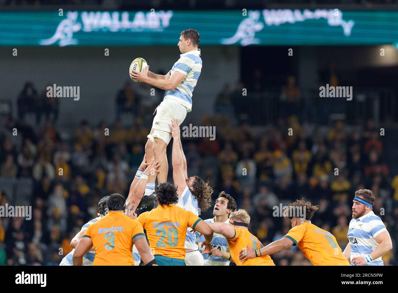 Sydney, Australia. 15th July, 2023. Juan Martin Gonzalez of Argentina wins the lineout ball during the eToro Rugby Championship 2023 match between Australia and Argentina at CommBank Stadium on July 15, 2023 in Sydney, Australia Credit: IOIO IMAGES/Alamy Live News Stock Photo