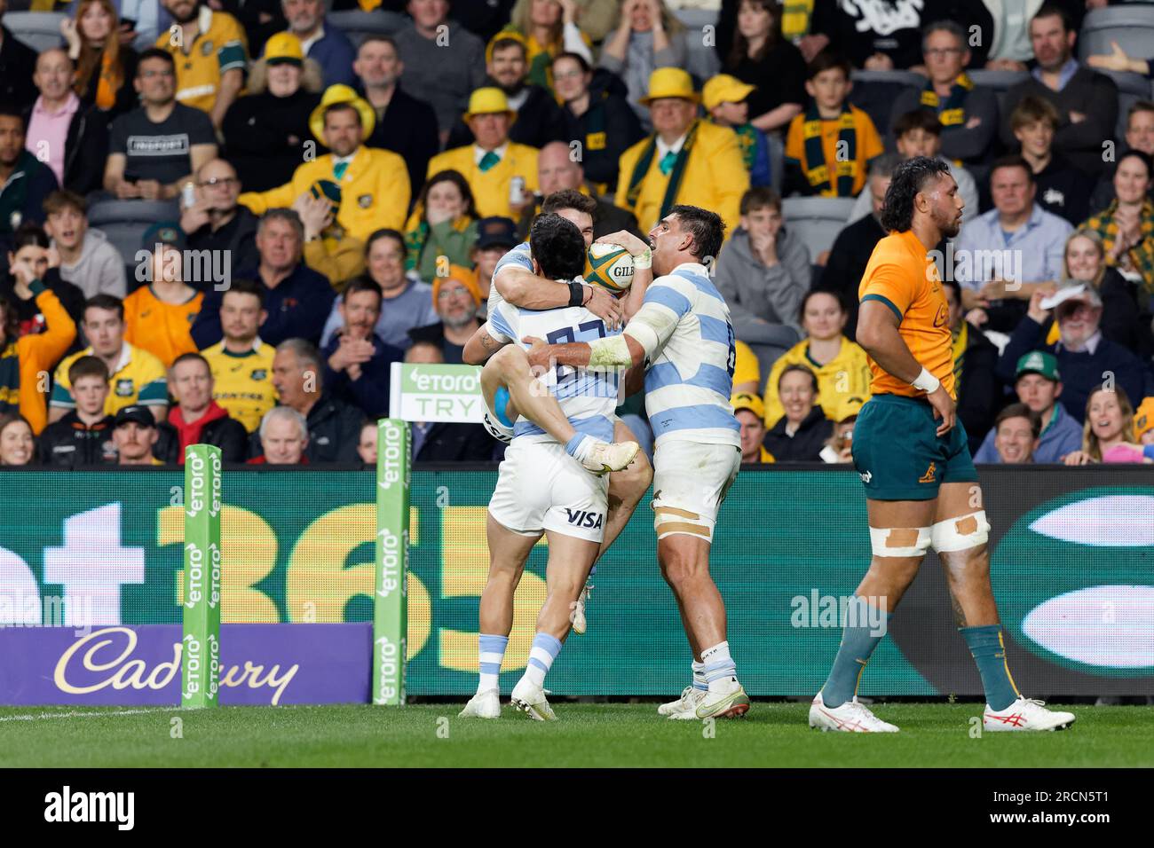 Sydney, Australia. 15th July, 2023. Mateo Carreras celebrates with team mates after scoring a try during the eToro Rugby Championship 2023 match between Australia and Argentina at CommBank Stadium on July 15, 2023 in Sydney, Australia Credit: IOIO IMAGES/Alamy Live News Stock Photo