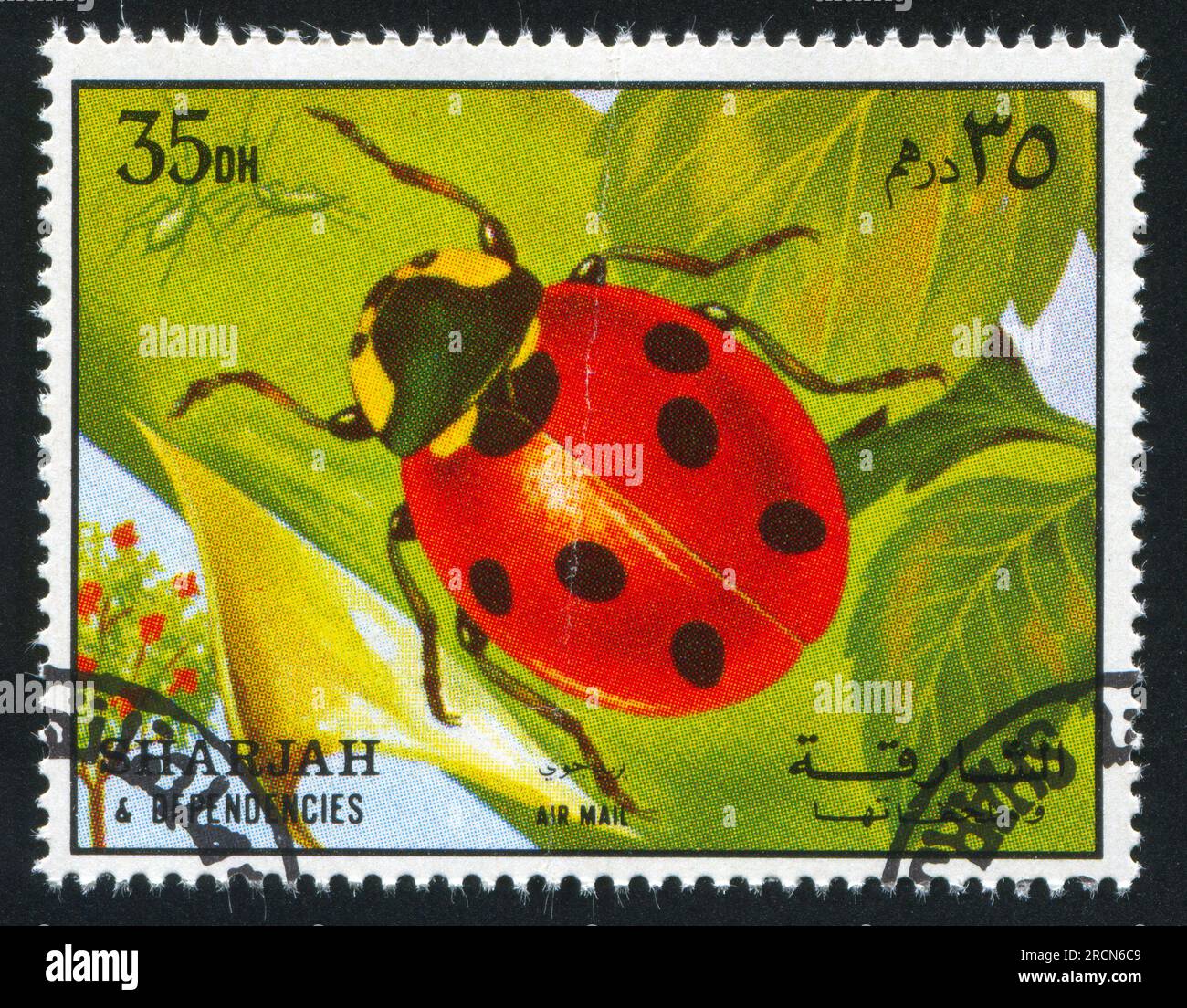 SHARJAH AND DEPENDENCIES - CIRCA 1972: stamp printed by Sharjah and Dependencies, shows a Ladybug, circa 1972 Stock Photo