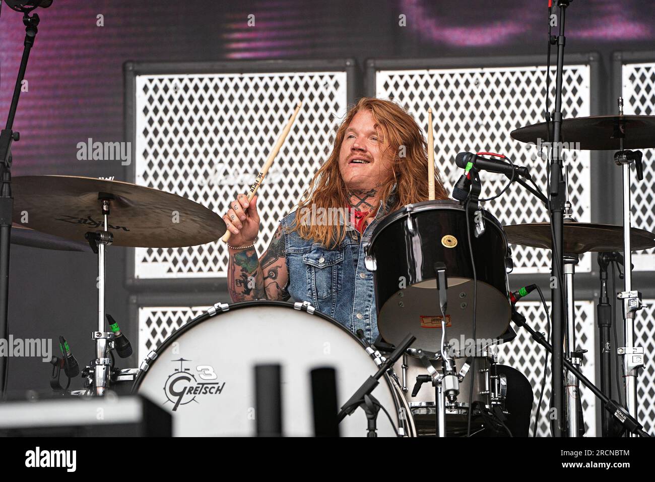 Poison Ivy Tattoo Sleeve | TikTok, image size:1300x956