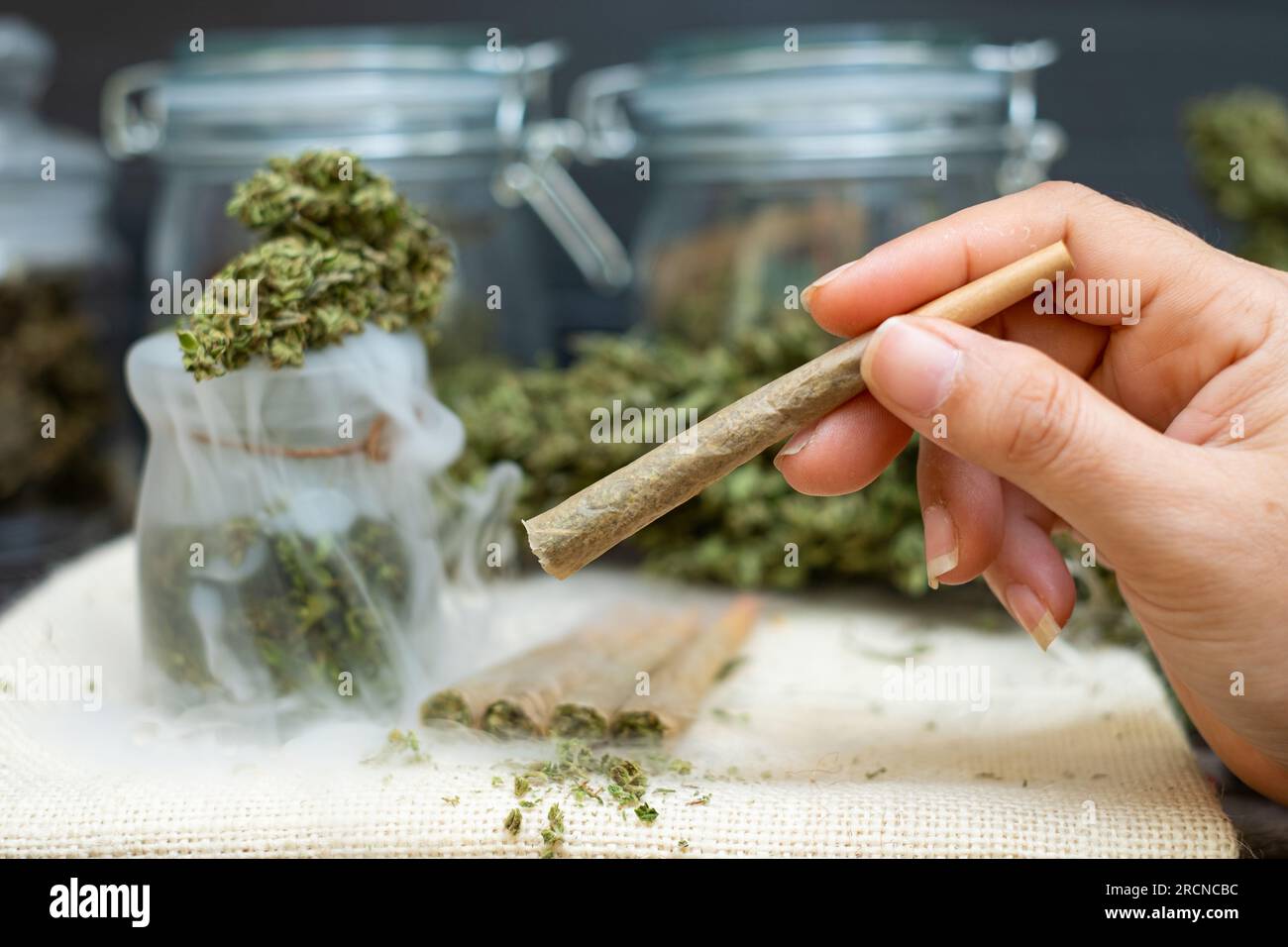 Woman hand holding PreRolled cones for smoking cannabis with cannabis