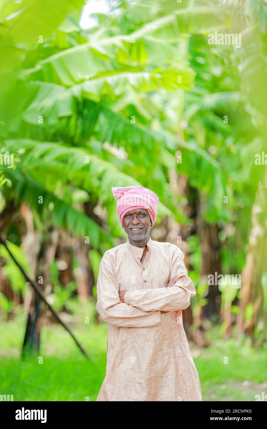 Farmer holding cotton india hi-res stock photography and images - Alamy