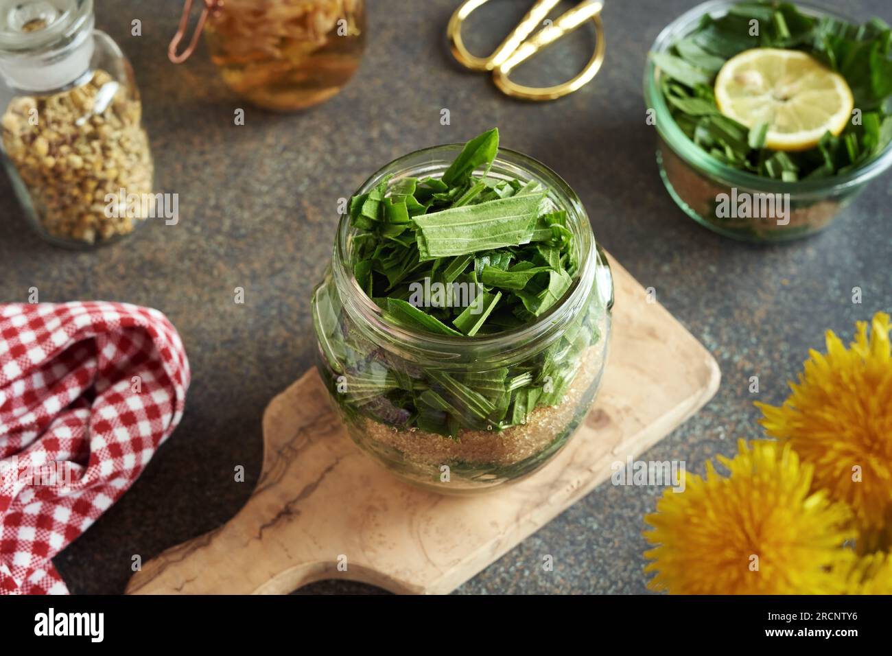 Fresh ribwort plantain leaves with sugar in a glass jar preparation