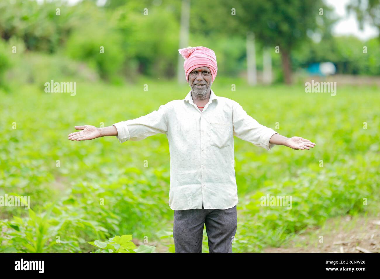 Cotton farmer india hi-res stock photography and images - Alamy