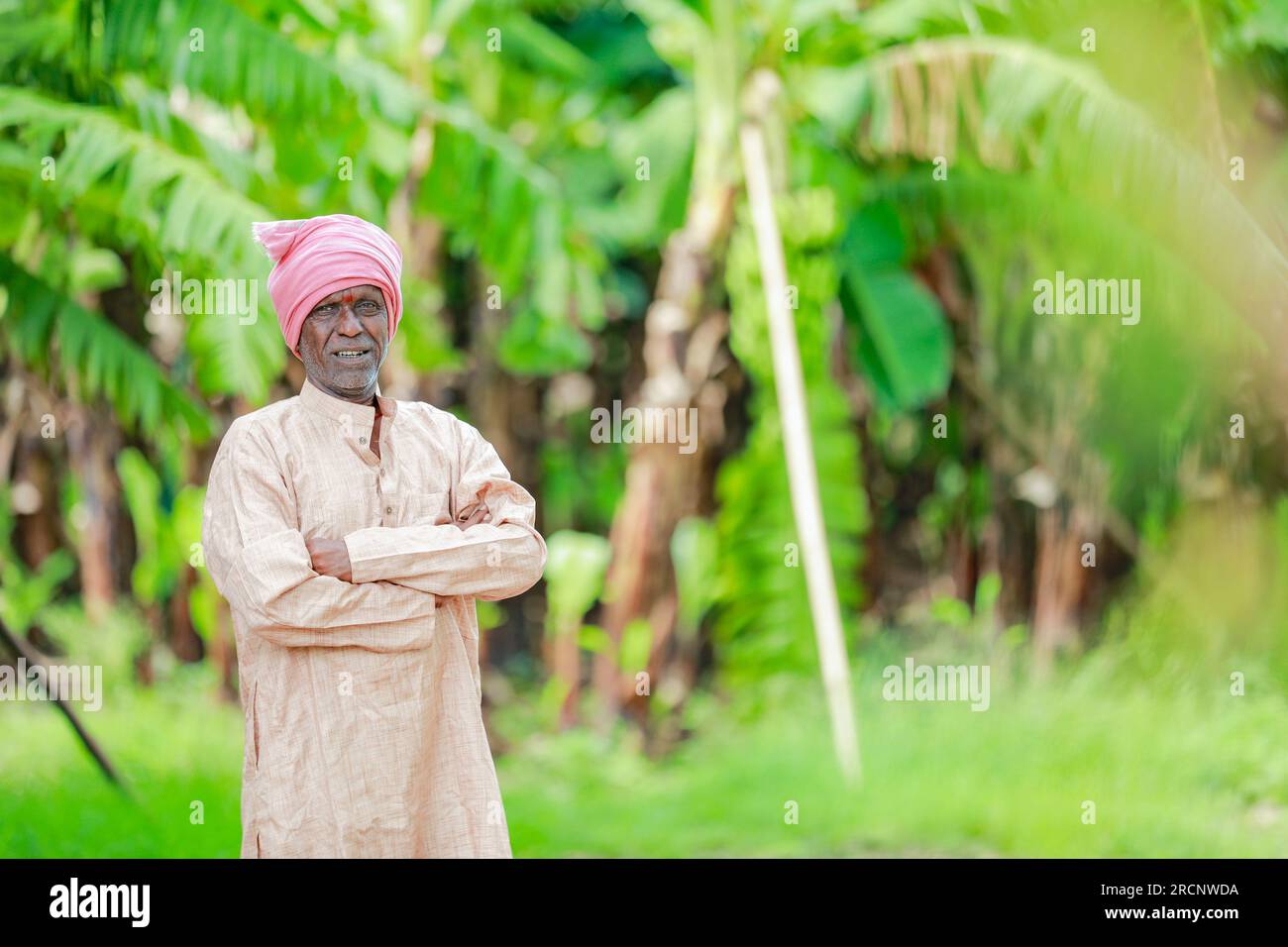 Farmer holding cotton india hi-res stock photography and images - Alamy