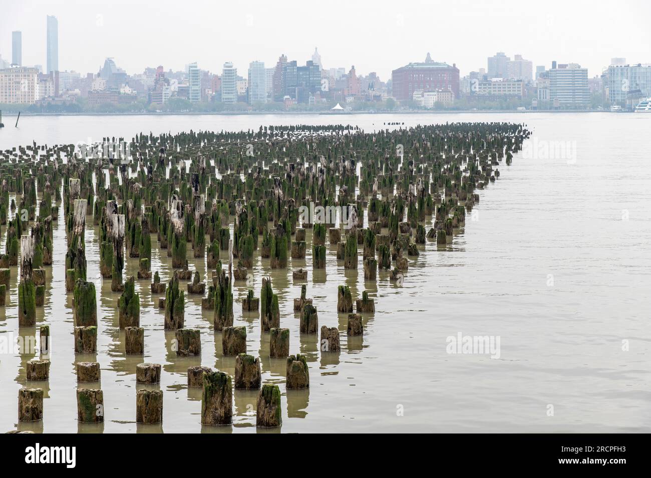 Panoramic view of over hundreds of old wooden pier supports in the Hudson River on New Jersey side with vanishing point perspective towards Manhattan Stock Photo