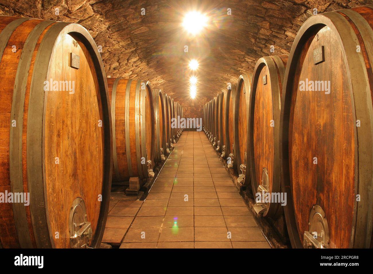 Umathum wine cellar, Frauenkirchen, Burgenland, Austria Stock Photo
