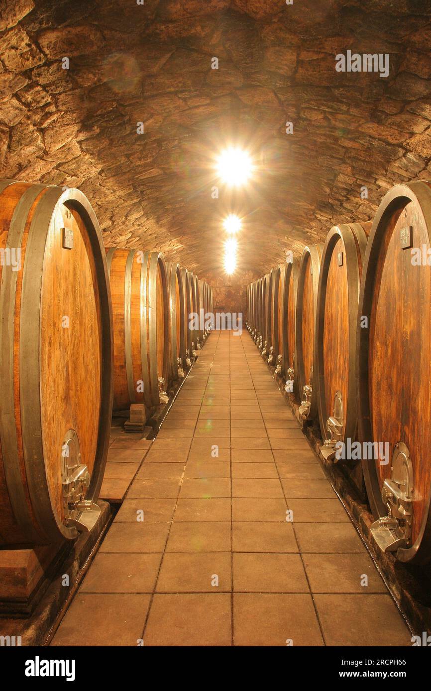 Umathum wine cellar, Frauenkirchen, Burgenland, Austria Stock Photo