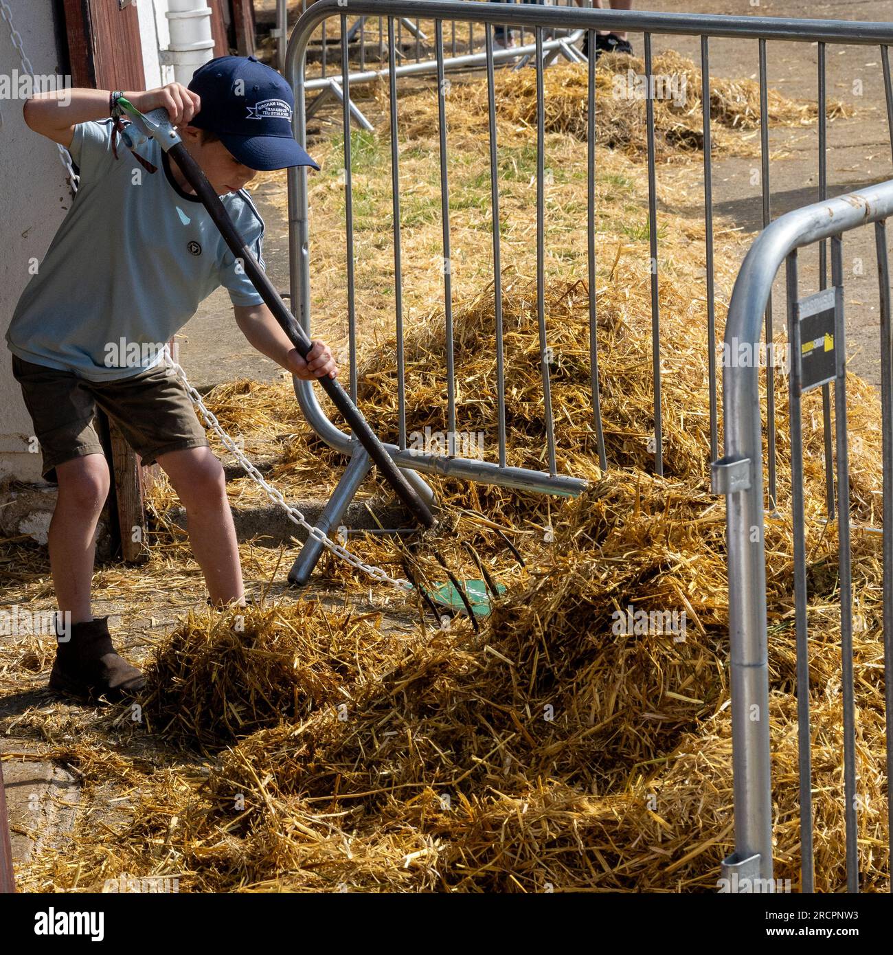 Great Yorkshire Show 2023 Stock Photo Alamy