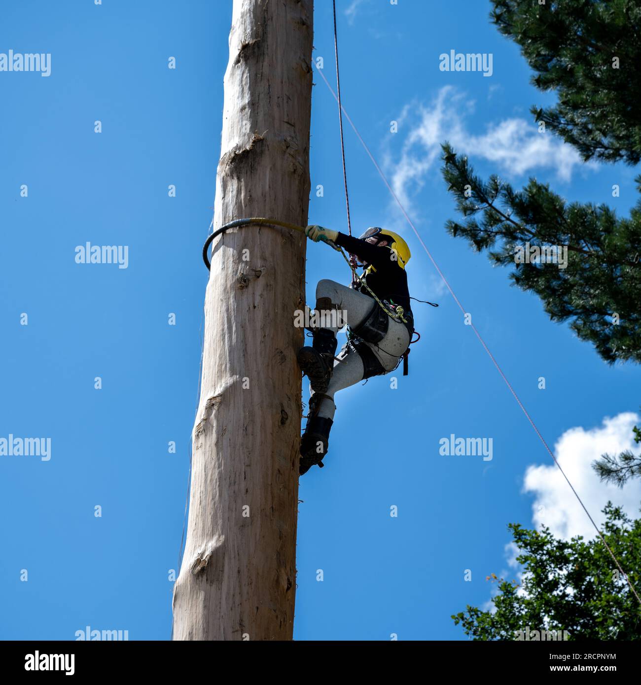 Great Yorkshire Show 2023 Stock Photo Alamy