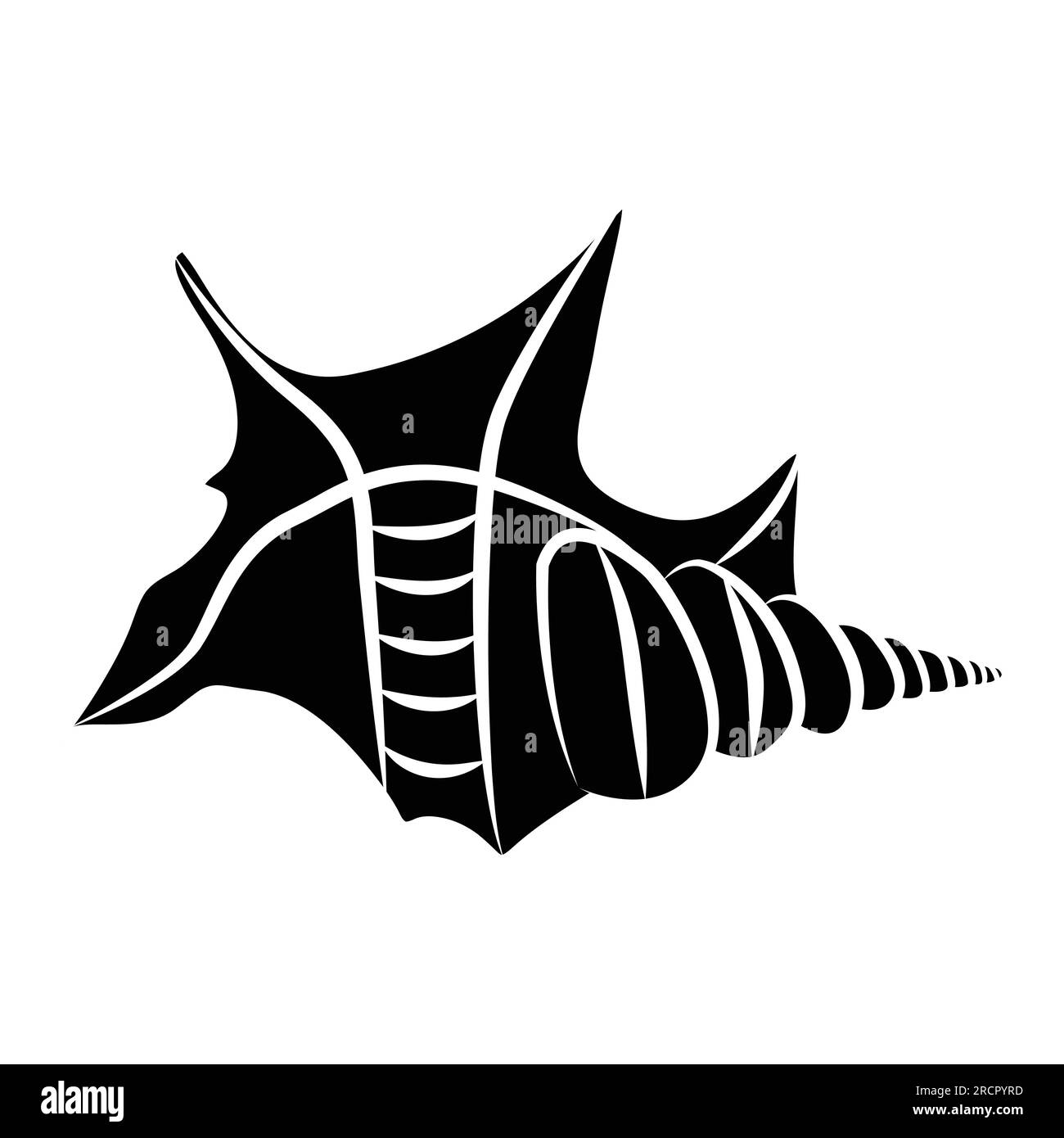 Triton trumpet shell hi-res stock photography and images - Alamy