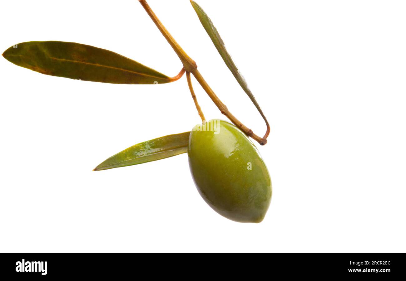 pickled olives isolated on white background Stock Photo Alamy