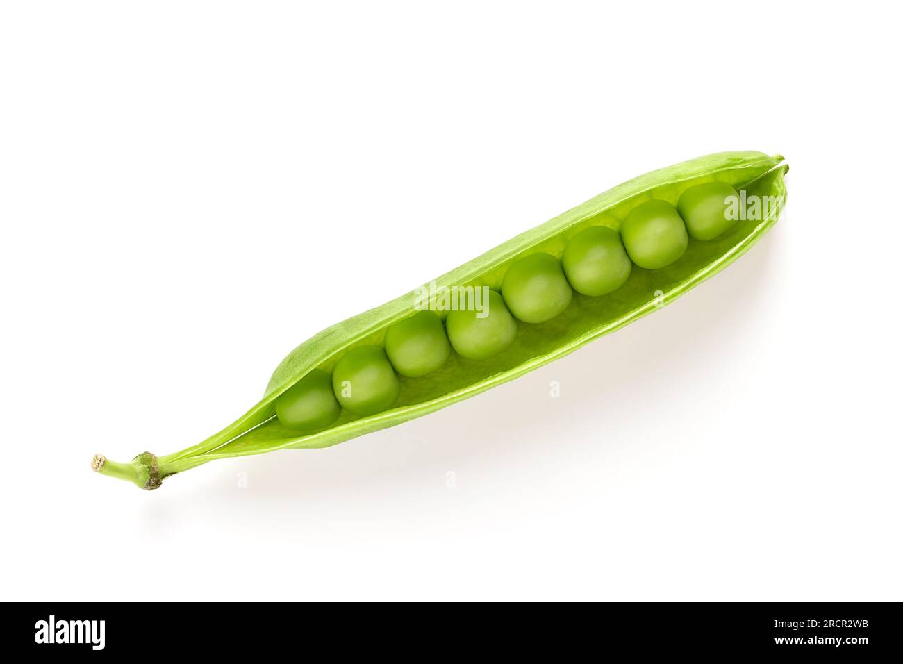 Green peas, open pod, from above. Insight into an open fresh pea pod, with ripe, raw, green fruits, seeds of Pisum sativum, a flowering annual plant. Stock Photo