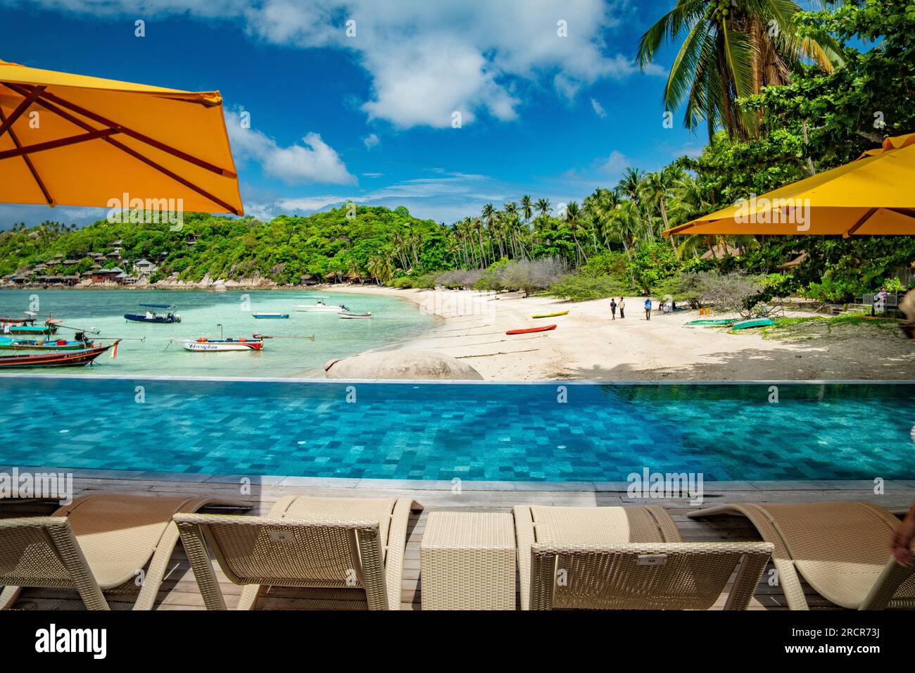 Beach bar and restaurant on haad tien beach, shark bay, koh tao