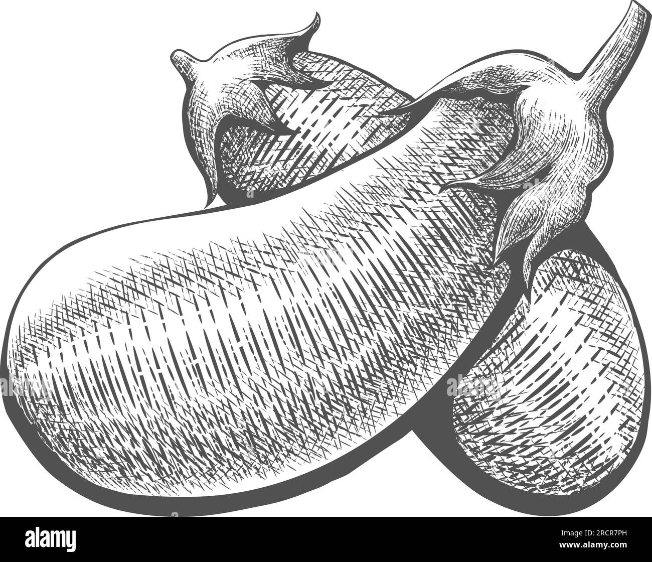 Aubergine cartoon eggplant vintage drawing Stock Vector Image & Art Alamy