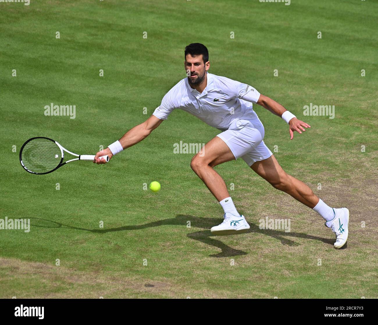 Djokovic wimbledon 2023 trophy hires stock photography and images Alamy