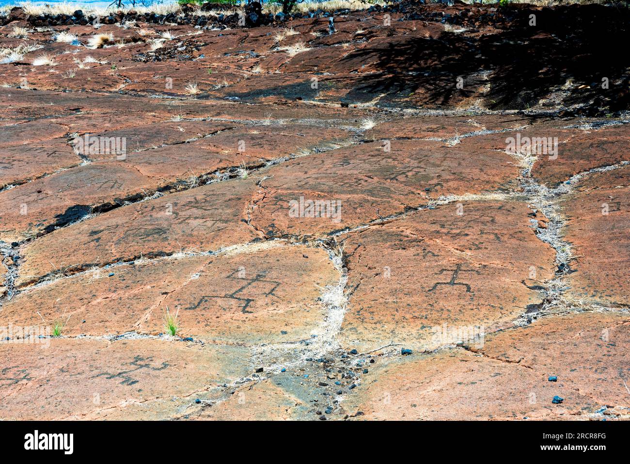 Ancient polynesians carved rocks on Hawaii big island Stock Photo