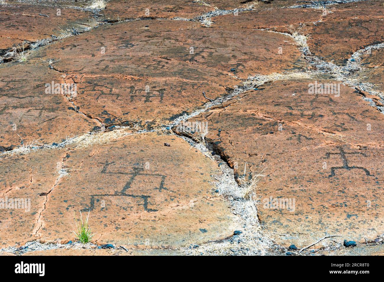 Rocks covered in petroglyphs carved by native hawaiian Stock Photo