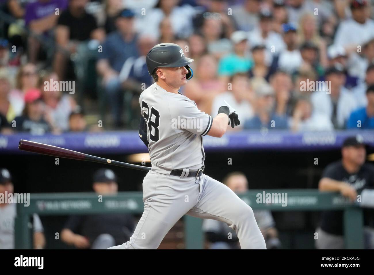 New York Yankees third baseman Josh Donaldson (28) during a MLB