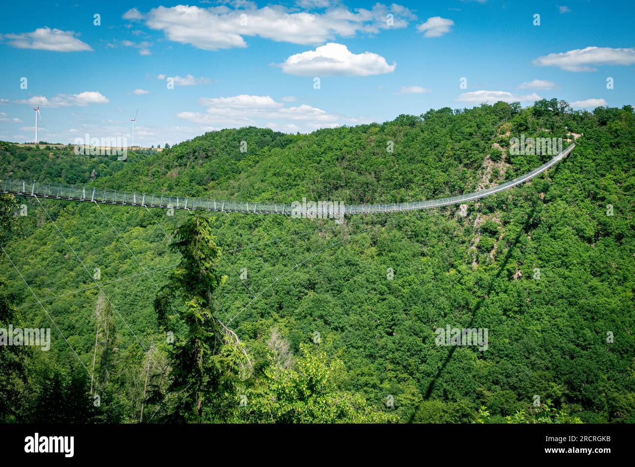 the geierlay the longest suspension bridge in germany Stock Photo Alamy