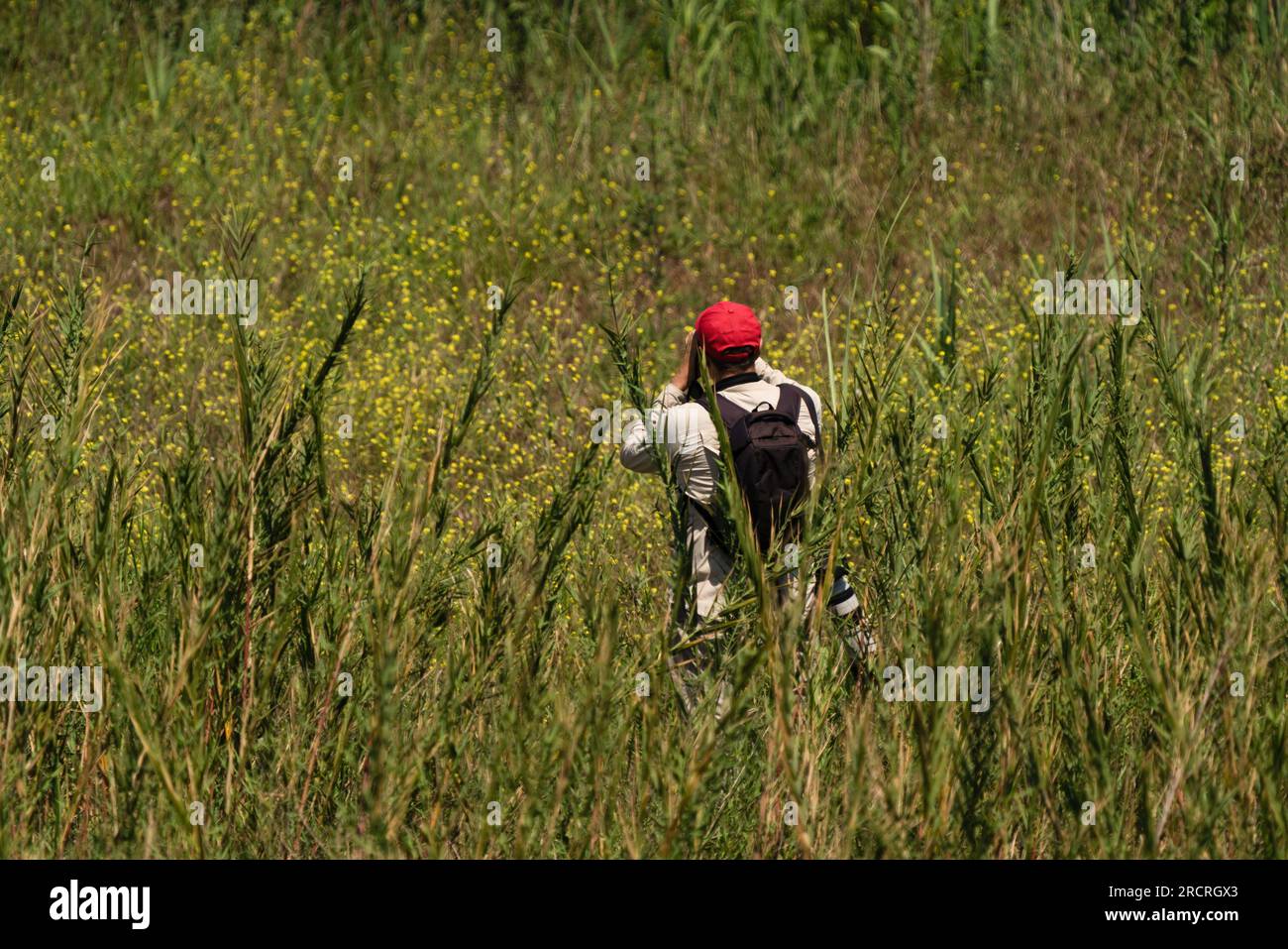 A man observing nature with binoculars Stock Photo