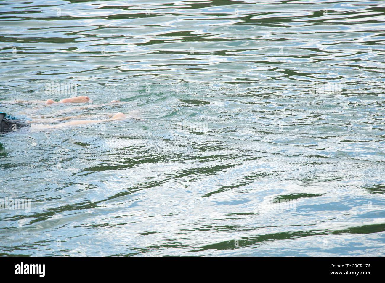 Legs of people floating on the water in a quarry in Ukraine, swim in