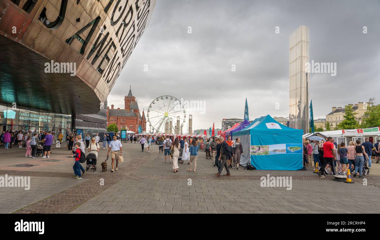 cardiff bay fun hq｜TikTok Search