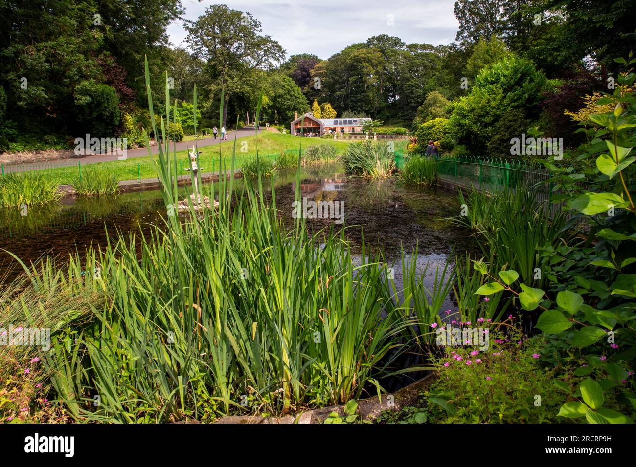 Northumberland Park, North Shields Stock Photo - Alamy