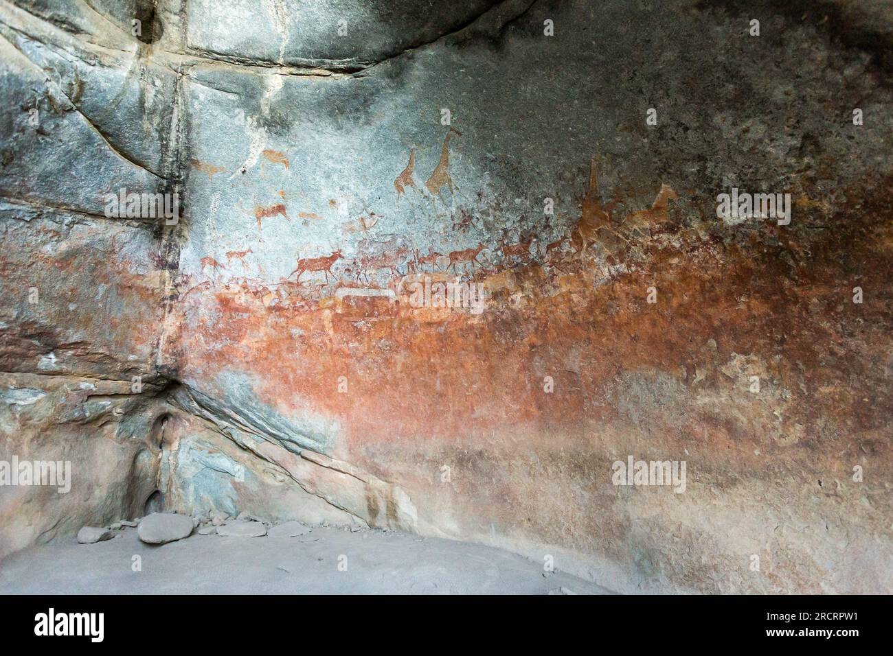 Bushmen Stone age prehistoric animals carvings in the cave Matobo Hills, Zimbabwe Stock Photo