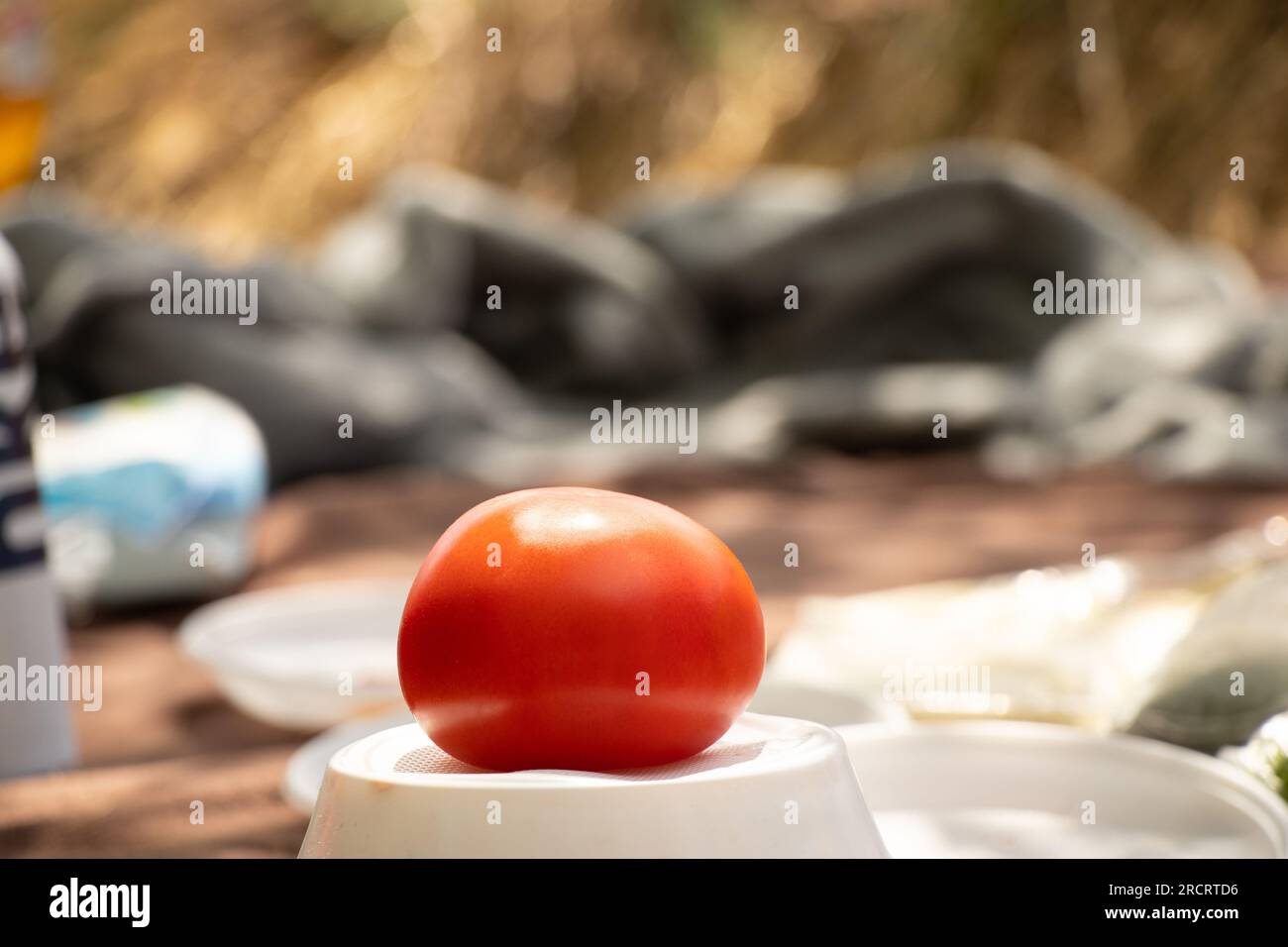 One raw whole tomato lies on a plate at a picnic in the summer in the sun, vegan food Stock Photo