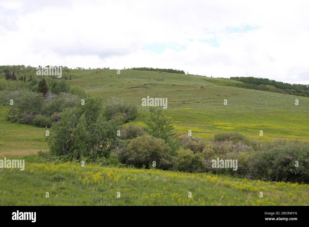 Glacier National Park, Browning, Montana, USA Stock Photo Alamy