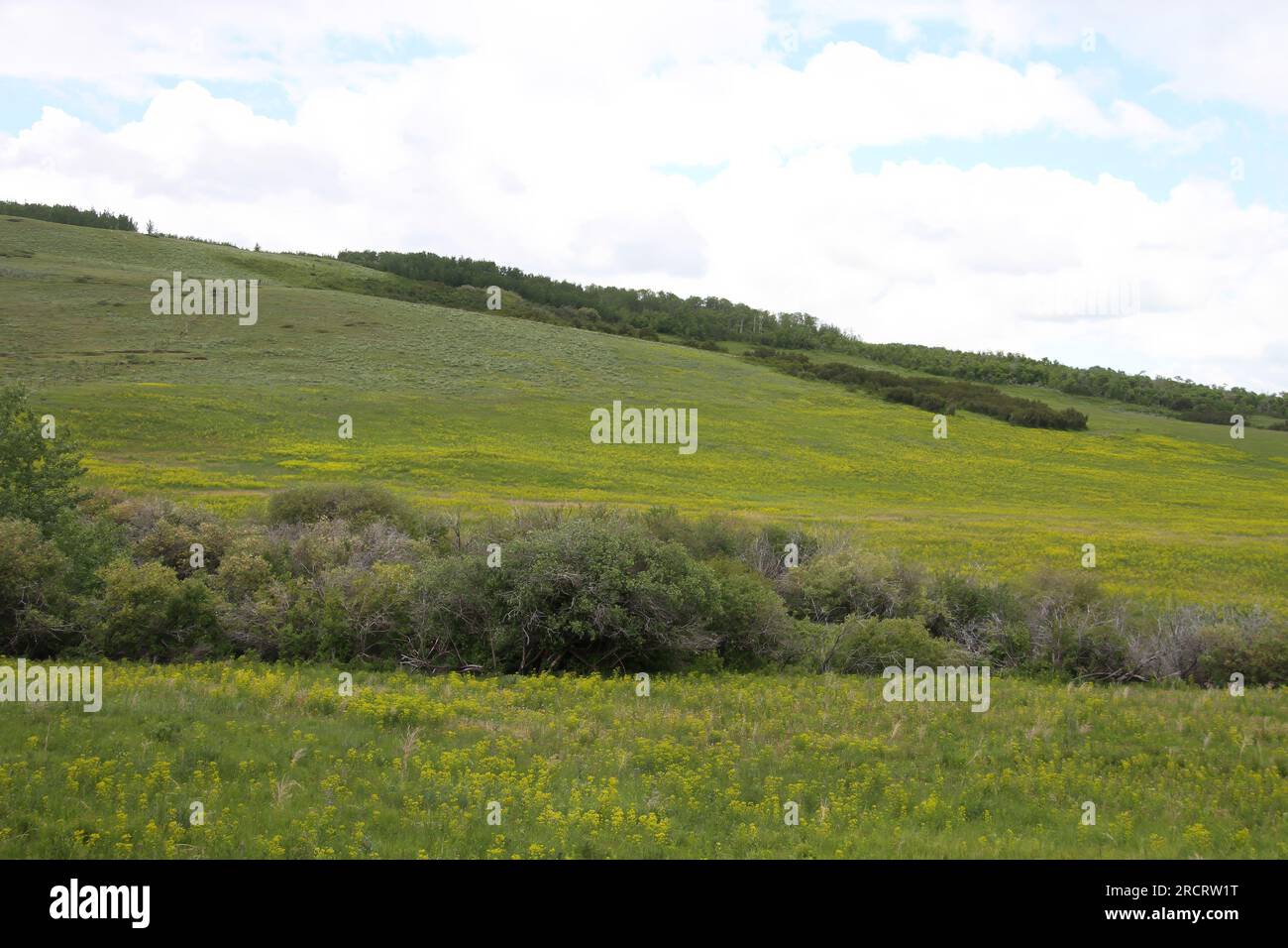 Glacier National Park, Browning, Montana, USA Stock Photo Alamy