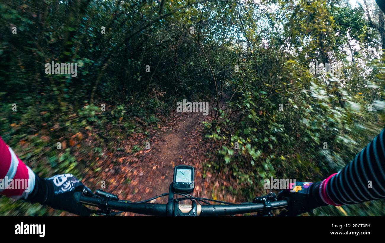 Riding a mountain bike handlebar rider point of view in a forest on a single track trail Stock Photo