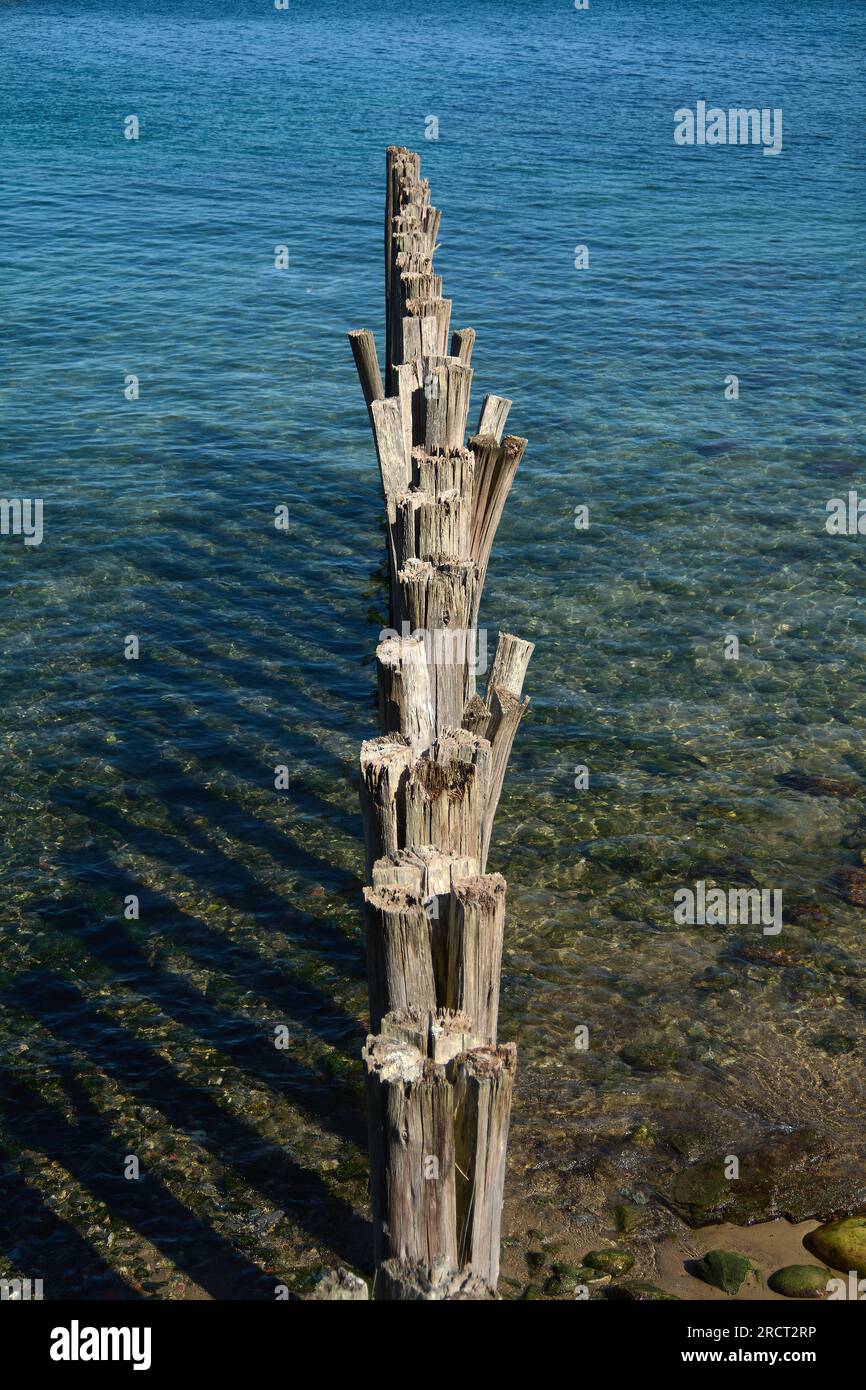 Remains of wooden logs from an old port at the edge of the sea Stock ...